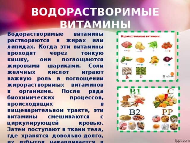 ВОДОРАСТВОРИМЫЕ ВИТАМИНЫ Водорастворимые витамины растворяются в жирах или липидах. Когда эти витамины проходят через тонкую кишку, они поглощаются жировыми шариками. Соли желчных кислот играют важную роль в поглощении жирорастворимых витаминов в организме. После ряда биохимических процессов, происходящих в пищеварительном тракте, эти витамины смешиваются с циркулирующей кровью. Затем поступают в ткани тела, где хранятся довольно долго, их избыток накапливается в печени и жировых депо и при необходимости высвобождается  из неё. 