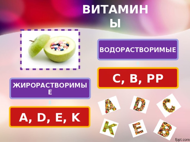ВИТАМИНЫ ВОДОРАСТВОРИМЫЕ C, B, PP ЖИРОРАСТВОРИМЫЕ A, D, E, K 