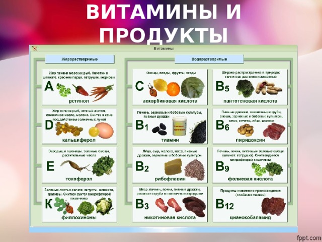 ВИТАМИНЫ И ПРОДУКТЫ 