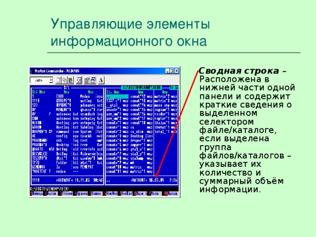 Управляющие элементы информационного окна Сводная строка – Расположена в нижней части одной панели и содержит краткие сведения о выделенном селектором файле/каталоге, если выделена группа файлов/каталогов – указывает их количество и суммарный объём информации. 