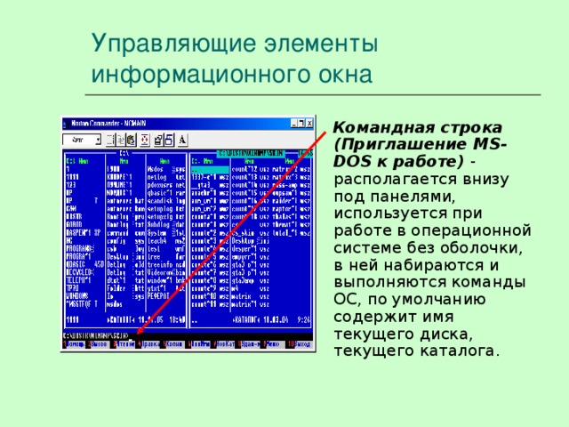 Управляющие элементы информационного окна Командная строка  (Приглашение MS -DOS к работе) - располагается внизу под панелями, используется при работе в операционной системе без оболочки, в ней набираются и выполняются команды ОС, по умолчанию содержит имя текущего диска, текущего каталога. 