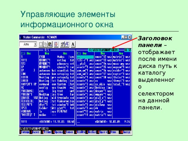 Управляющие элементы информационного окна Заголовок панели – отображает после имени диска путь к каталогу выделенного селектором на данной панели. 