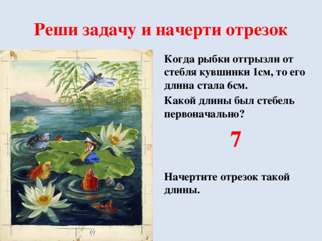 Реши задачу и начерти отрезок Когда рыбки отгрызли от стебля кувшинки 1см, то его длина стала 6см. Какой длины был стебель первоначально? 7  Начертите отрезок такой длины.  