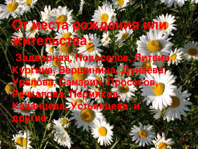 От места рождения или жительства:  Задворная, Новоселов, Литвин, Кургина, Вершинина, Дунаева, Уралова, Самарин, Просеков, Речкалова, Пермяков, Казанцева, Устьянцева и другие.
