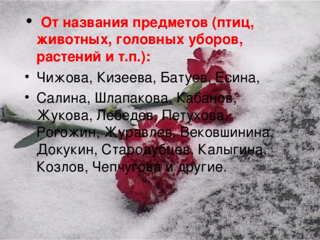 От названия предметов (птиц, животных, головных уборов, растений и т.п.): Чижова, Кизеева, Батуев, Есина, Салина, Шлапакова, Кабанов, Жукова, Лебедев, Петухова, Рогожин, Журавлев, Вековшинина, Докукин, Стародубцев, Калыгина, Козлов, Чепчугова и другие.