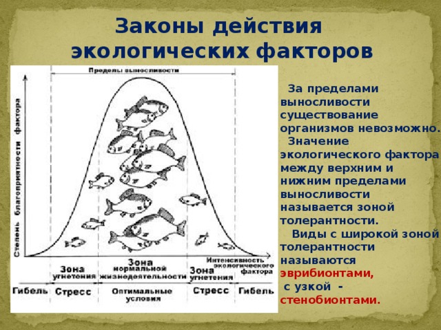 Законы действия экологических факторов  За пределами выносливости существование организмов невозможно.  Значение экологического фактора между верхним и нижним пределами выносливости называется зоной толерантности.  Виды с широкой зоной толерантности называются эврибионтами,  с узкой - стенобионтами. 
