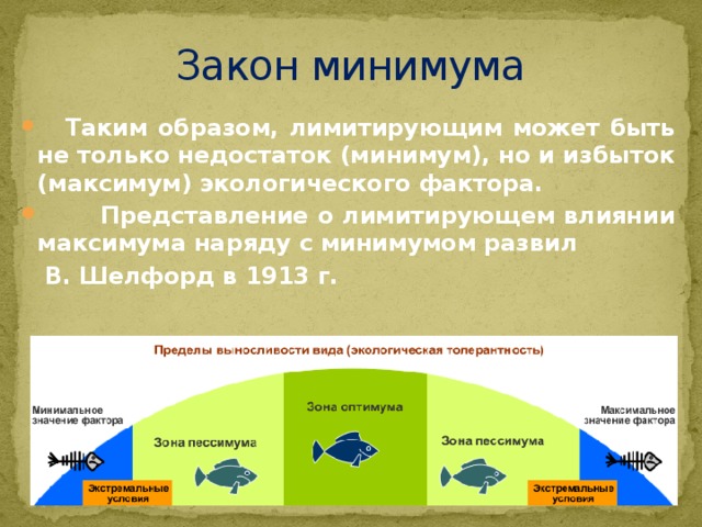 Закон минимума  Таким образом, лимитирующим может быть не только недостаток (минимум), но и избыток (максимум) экологического фактора.  Представление о лимитирующем влиянии максимума наряду с минимумом развил  В. Шелфорд в 1913 г.  