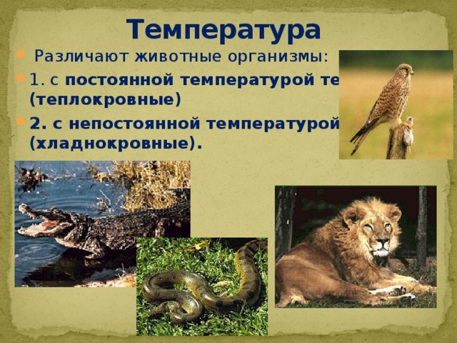 Температура  Различают животные организмы: 1. с постоянной температурой тела (теплокровные) 2. с непостоянной температурой тела (хладнокровные).  