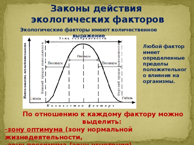 Законы действия экологических факторов Экологические факторы имеют количественное выражение Любой фактор имеет определенные пределы положительного влияния на организмы. По отношению к каждому фактору можно выделить: -зону оптимума (зону нормальной жизнедеятельности, -зону пессимума (зону угнетения), - верхний и нижний пределы выносливости организмов . 