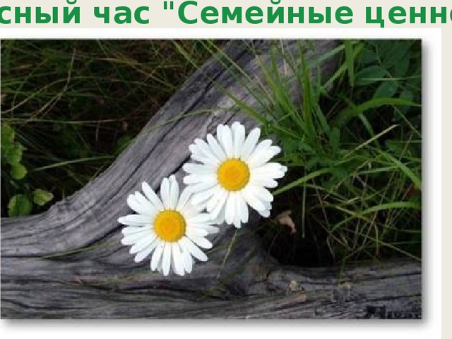 Классный час 