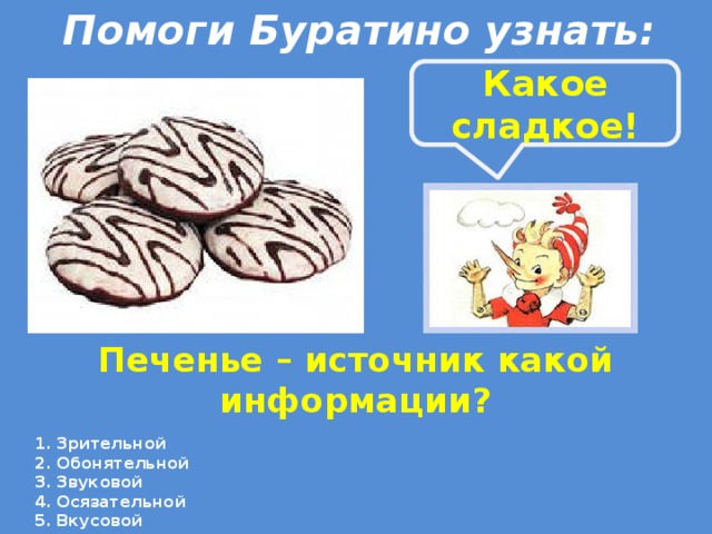 Помоги Буратино узнать: Какое сладкое! Печенье – источник какой информации? Зрительной Обонятельной Звуковой Осязательной Вкусовой 