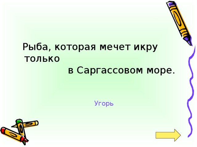 Рыба, которая мечет икру только  в Саргассовом море. Угорь