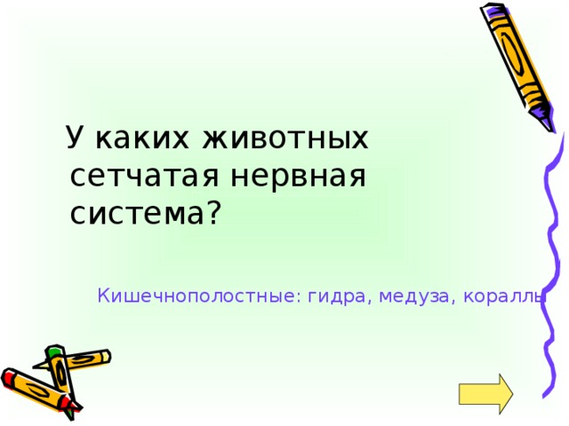 У каких животных сетчатая нервная система? Кишечнополостные: гидра, медуза, кораллы