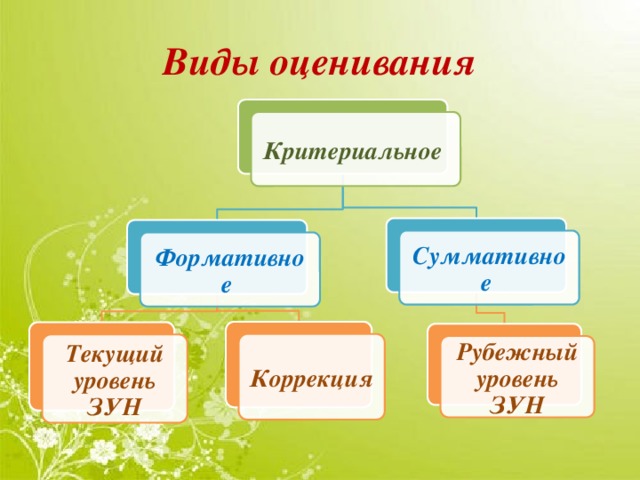 Виды оценивания Критериальное Суммативное Формативное Коррекция Текущий уровень ЗУН Рубежный уровень ЗУН 