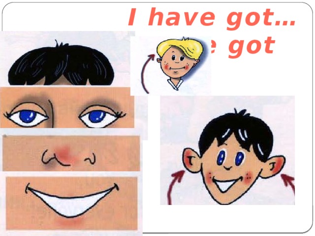  I have got…=I’ve got 