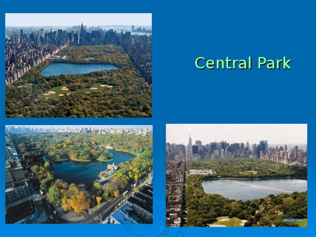  Central Park 