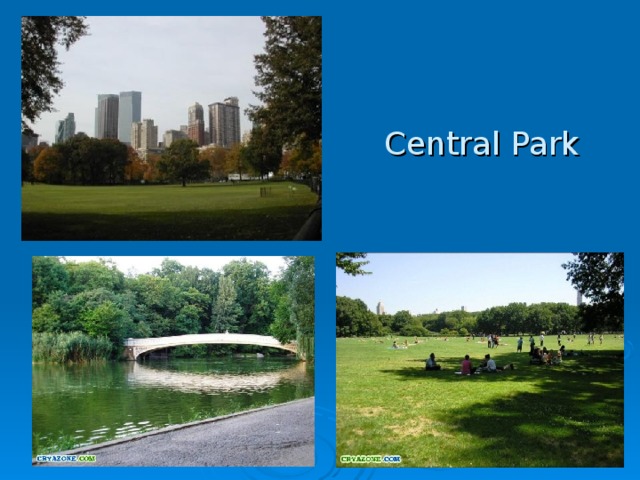  Central Park 