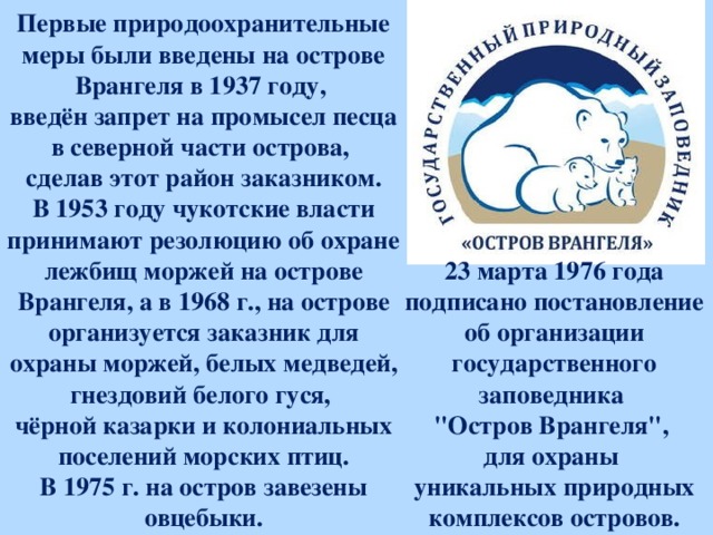 Первые природоохранительные меры были введены на острове Врангеля в 1937 году, введён запрет на промысел песца в северной части острова, сделав этот район заказником. В 1953 году чукотские власти принимают резолюцию об охране лежбищ моржей на острове Врангеля, а в 1968 г., на острове организуется заказник для охраны моржей, белых медведей, гнездовий белого гуся, чёрной казарки и колониальных поселений морских птиц. В 1975 г. на остров завезены овцебыки. 23 марта 1976 года подписано постановление об организации государственного заповедника 
