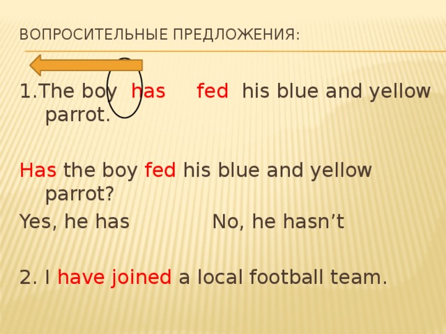 Вопросительные предложения:   1.The boy has fed his blue and yellow parrot. Has the boy fed his blue and yellow parrot? Yes, he has No, he hasn’t 2. I have joined a local football team. 
