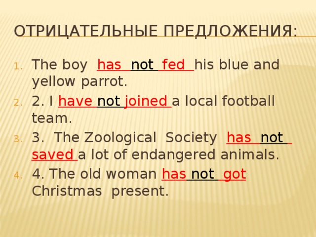 отрицательные предложения: The boy has not fed his blue and yellow parrot. 2. I have not joined a local football team. 3. The Zoological Society has not saved a lot of endangered animals. 4. The old woman has not got Christmas present. 