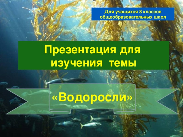 Для учащихся 8 классов общеобразовательных школ Презентация для изучения темы «Водоросли» 