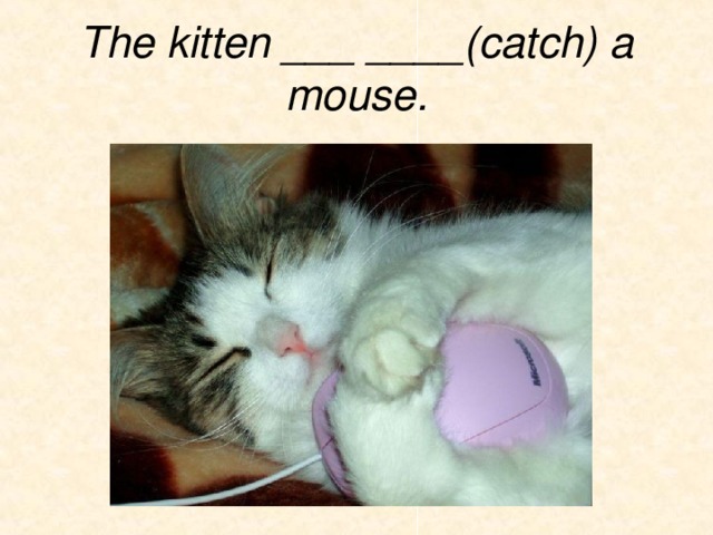 The kitten ___ ____(catch) a mouse. 