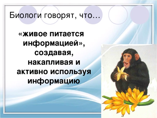 Биологи говорят, что… «живое питается информацией», создавая, накапливая и активно используя информацию 