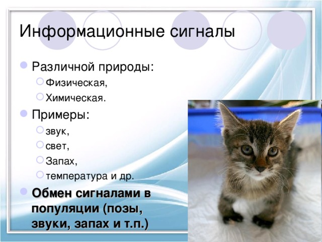 Информационные сигналы Различной природы: Физическая, Химическая. Физическая, Химическая. Примеры: звук, свет, Запах, температура и др. звук, свет, Запах, температура и др. Обмен сигналами в популяции (позы, звуки, запах и т.п.) 