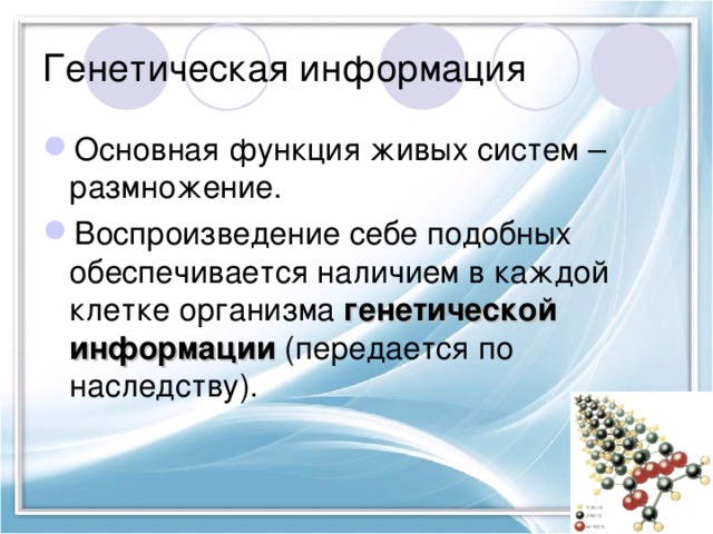 Генетическая информация Основная функция живых систем – размножение. Воспроизведение себе подобных обеспечивается наличием в каждой клетке организма генетической информации (передается по наследству). 