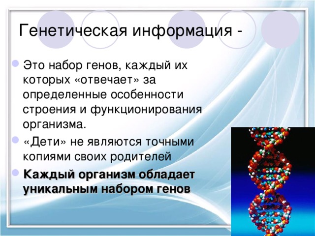 Генетическая информация - Это набор генов, каждый их которых «отвечает» за определенные особенности строения и функционирования организма. «Дети» не являются точными копиями своих родителей Каждый организм обладает уникальным набором генов 