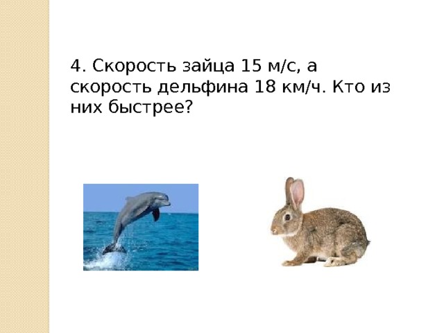 4. Скорость зайца 15 м/с, а скорость дельфина 18 км/ч. Кто из них быстрее? 
