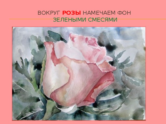 Вокруг розы намечаем фон   зелеными смесями 