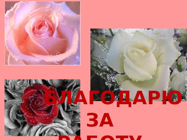  БЛАГОДАРЮ  ЗА  РАБОТУ 