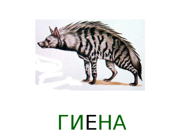 ЛЕ В 