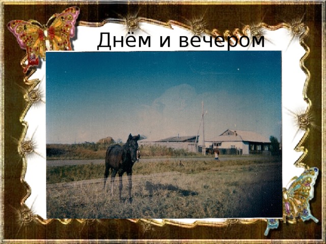 Днём и вечером 