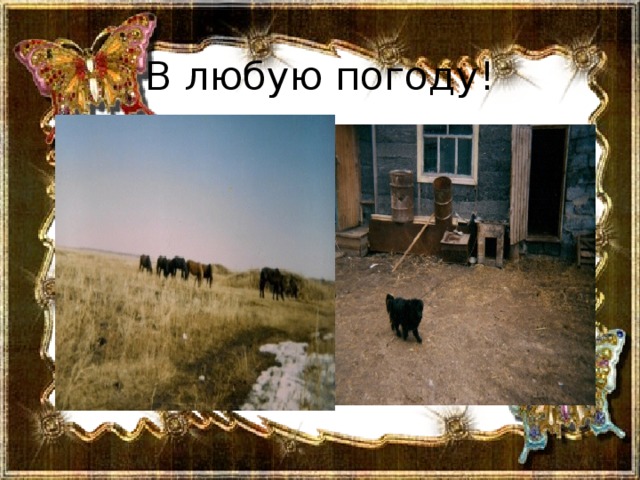 В любую погоду! 