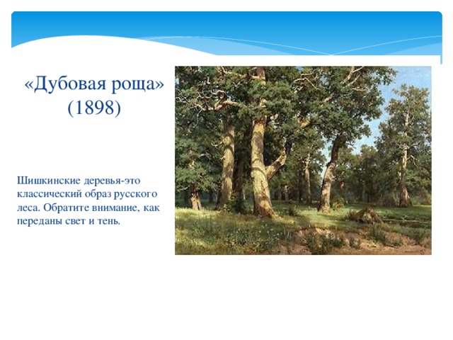 «Дубовая роща» (1898) Шишкинские деревья-это классический образ русского леса. Обратите внимание, как переданы свет и тень. 