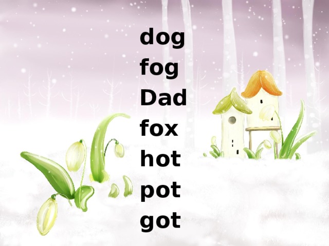 dog fog Dad fox hot pot got 