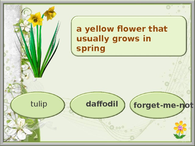 a yellow flower that usually grows in spring  daffodil  tulip forget-me-not  