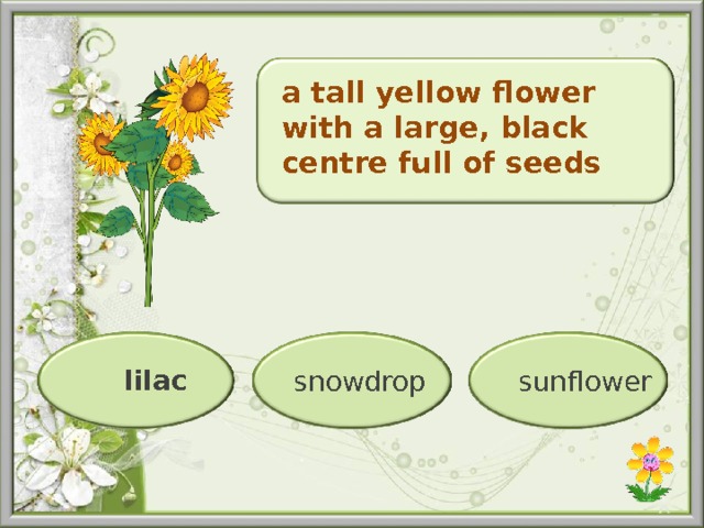 a tall yellow flower with a large, black centre full of seeds snowdrop  sunflower  lilac  