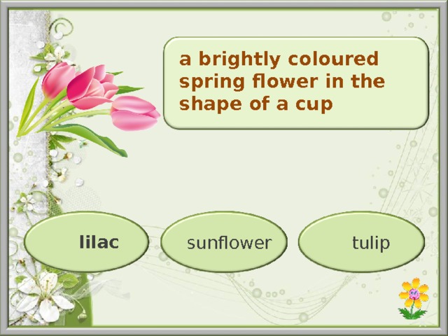 a brightly coloured spring flower in the shape of a cup sunflower  tulip  lilac  