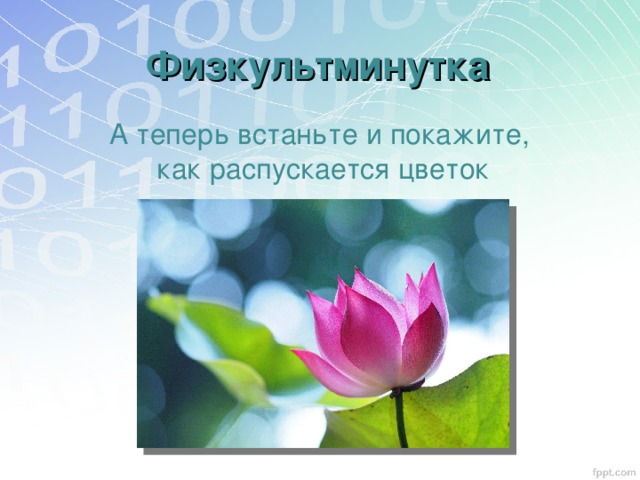 Физкультминутка А теперь встаньте и покажите, как распускается цветок 
