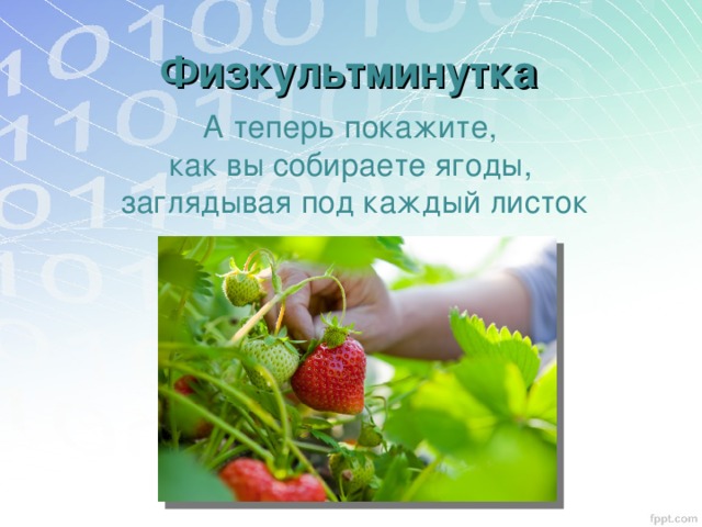 Физкультминутка А теперь покажите, как вы собираете ягоды, заглядывая под каждый листок 