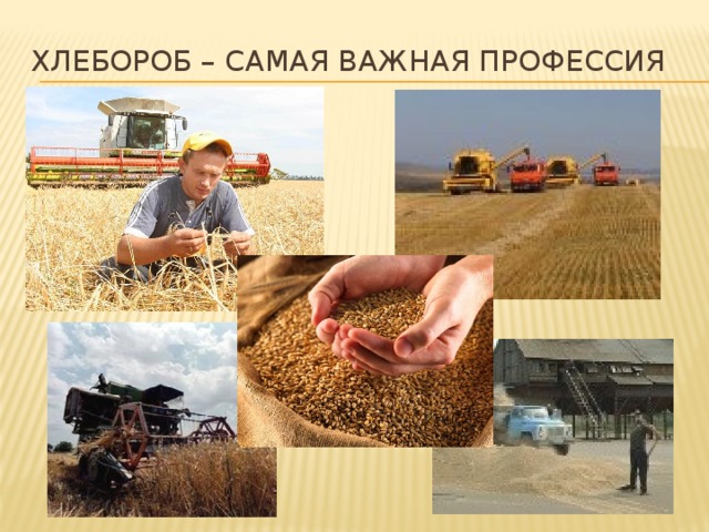 Хлебороб – самая важная профессия 