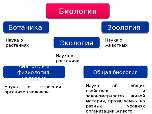 Биология Ботаника Зоология Экология Наука о растениях Наука о животных Наука о растениях Анатомия и физиология человека Общая биология Наука об общих свойствах и закономерностях живой материи, проявляемых на разных уровнях организации живого Наука о строении организма человека 3 