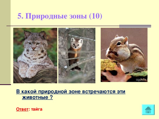 5. Природные зоны (10)   В какой природной зоне встречаются эти животные ?  Ответ : тайга  