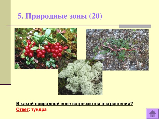 5. Природные зоны (20)    В какой природной зоне встречаются эти растения? Ответ : тундра  