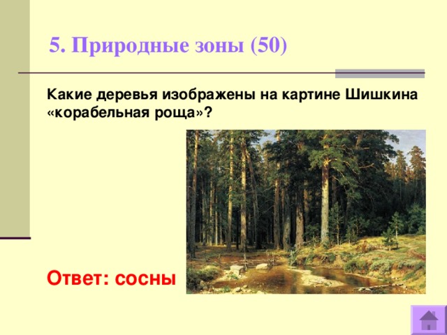 5. Природные зоны (50)   Какие деревья изображены на картине Шишкина «корабельная роща»?         Ответ: сосны  