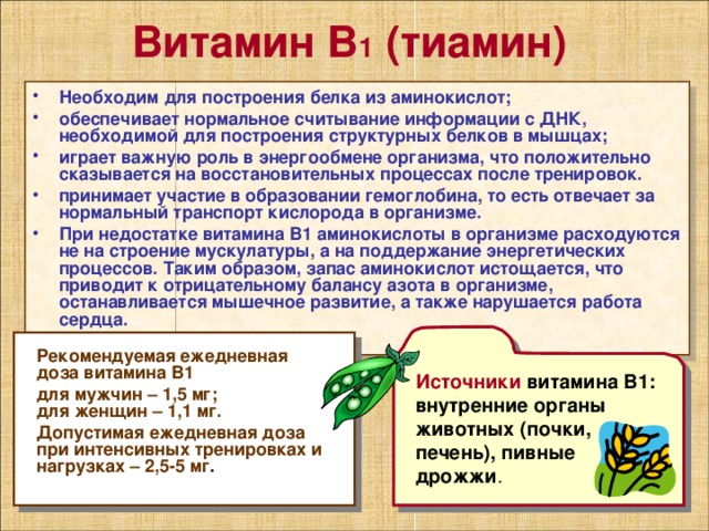 Витамин В 1 (тиамин) Необходим для построения белка из аминокислот; обеспечивает нормальное считывание информации с ДНК, необходимой для построения структурных белков в мышцах; играет важную роль в энергообмене организма, что положительно сказывается на восстановительных процессах после тренировок. принимает участие в образовании гемоглобина, то есть отвечает за нормальный транспорт кислорода в организме. При недостатке витамина В1 аминокислоты в организме расходуются не на строение мускулатуры, а на поддержание энергетических процессов. Таким образом, запас аминокислот истощается, что приводит к отрицательному балансу азота в организме, останавливается мышечное развитие, а также нарушается работа сердца. Источники  витамина В1: внутренние органы животных (почки, печень), пивные дрожжи . Рекомендуемая ежедневная доза витамина В1 для мужчин – 1,5 мг;  для женщин – 1,1 мг. Допустимая ежедневная доза при интенсивных тренировках и нагрузках – 2,5-5 мг . 