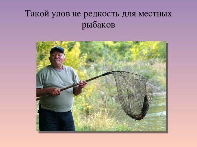 Такой улов не редкость для местных рыбаков 